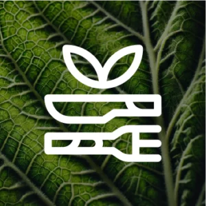 Biodegradabile
